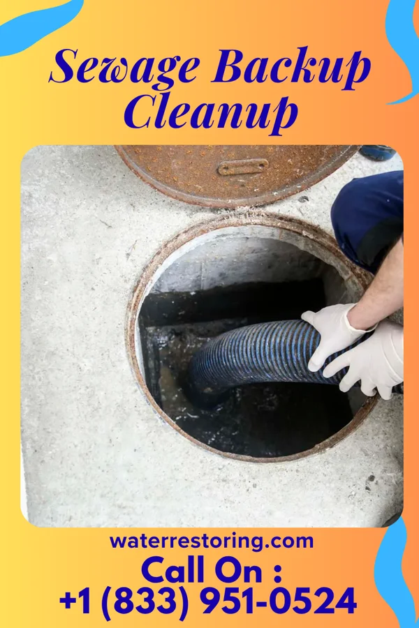 Sewage Backup Cleanup in Houghton, IA
