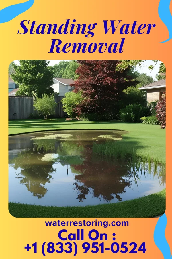 Standing Water Removal in Houghton, IA